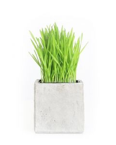 LSL Outdoor Square Pot 